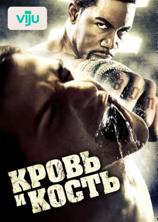 Кровь и кость