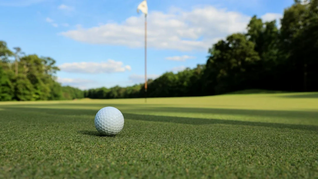 Передача Discovery golf