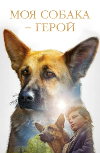 Моя собака - герой