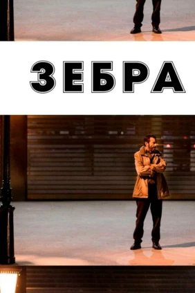 Зебра