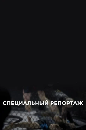 Специальный репортаж
