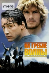 На гребне волны