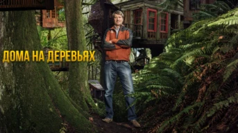 Дома на деревьях