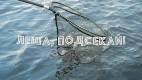 1-я серия