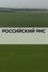 Российский рис