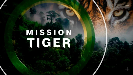 Mission Tiger