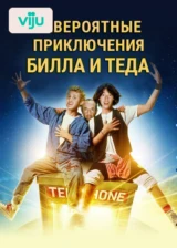 Невероятные приключения Билла и Теда