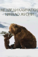Медведи Камчатки. Начало жизни