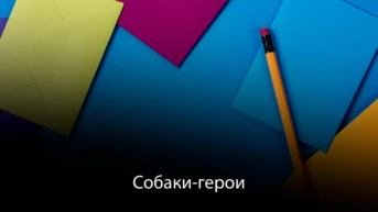 Собаки-герои