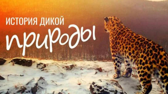 История дикой природы