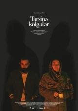Tərsinə kölgələr