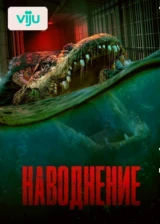 Наводнение